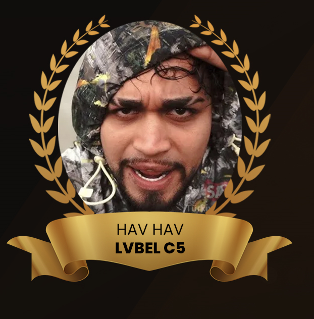 HAV HAV LVBEL 5